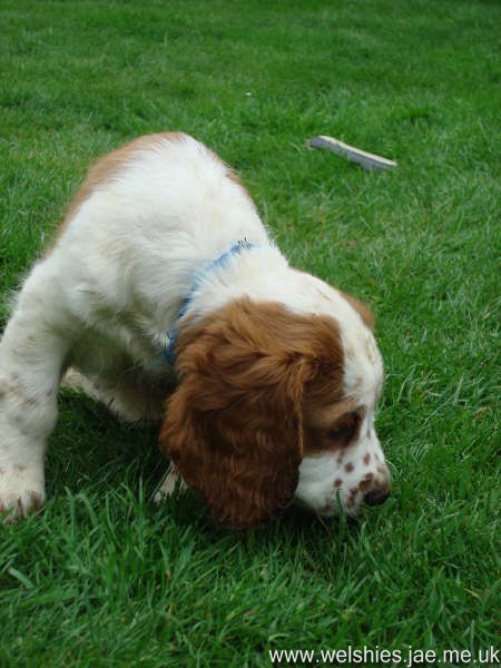 2009-04-17 25L.JPG
